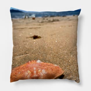 Treasure on the North Shore Pillow