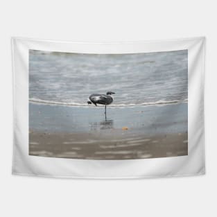 Stretching Laughing gull Tapestry