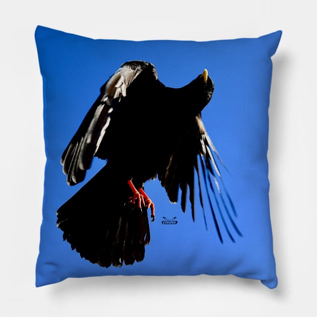 Alpine Jackdaw Bird / Swiss Artwork Photography Pillow by RaphaelWolf