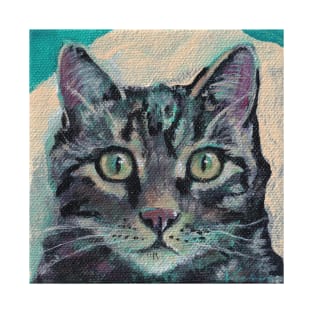 Tiger Cat on Teal T-Shirt