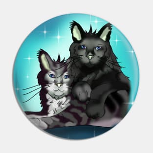 Maine Coon cat brothers with blue eyes Pin