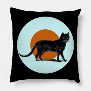 Halloween Black Cat, Signs and Symbols - Pale Blue and Cinnamon Pillow