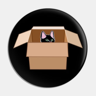 Black Kitten Peeking from Cardboard Box Pin