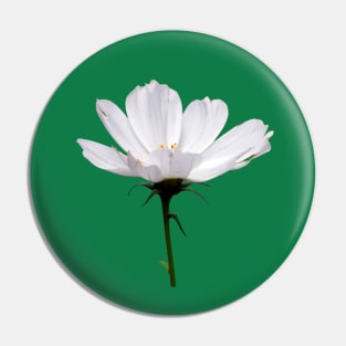 White Cosmo Daisy close up Pin