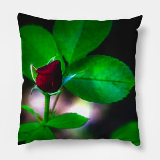 Tea Rose is a Rose. Pillow