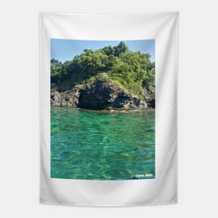 Honduras Caribean Reef Cay photo Tapestry