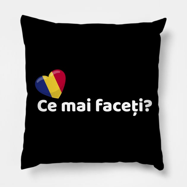 Romanian Ce mai faceți? Pillow by SunburstGeo