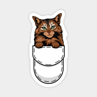 Funny Somali Pocket Cat Magnet