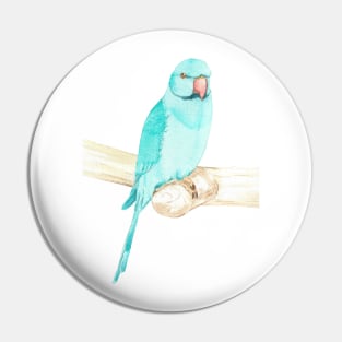 Blue rose-ringed parakeet watercolor portrait Pin