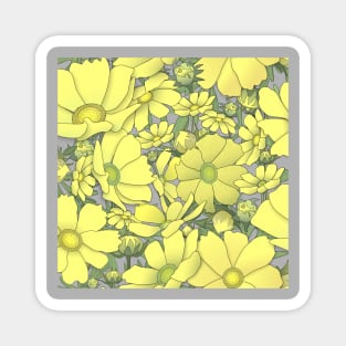 Tossed Yellow Cosmos Wildflowers on Soft Grey Magnet