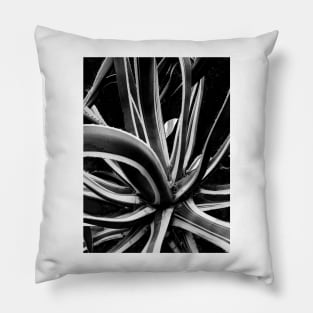 Agave Pillow