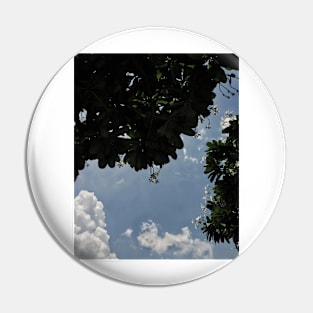 Pleasant Blue sky, flowers on green trees Pin