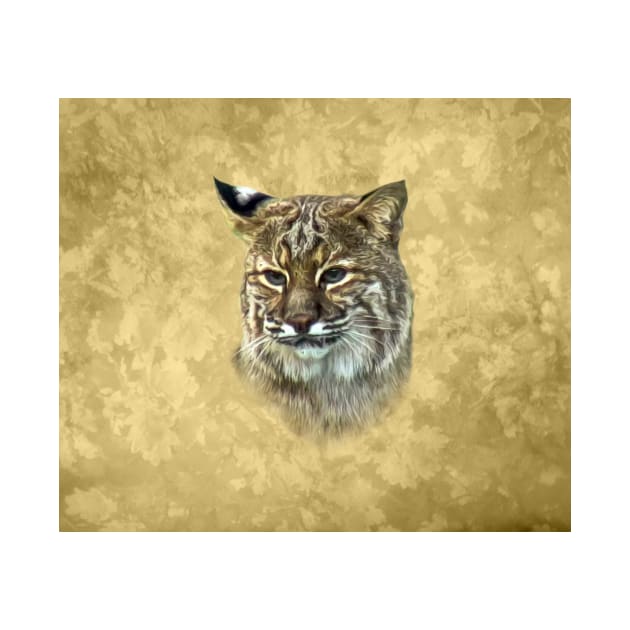 Bobcat by Guardi