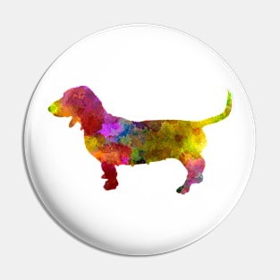 Artesian Norman Basset in watercolor Pin