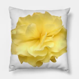 Yellow Double Begonia Close-up Pillow