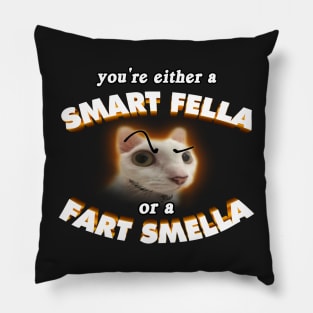 Smart Fella Cat Meme Pillow