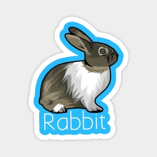 Cartoon Rabbit Magnet