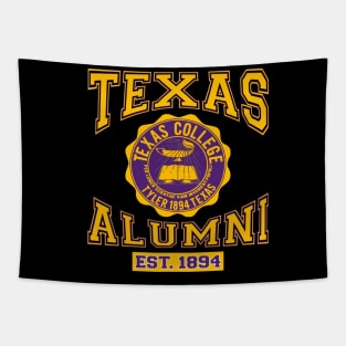 Texas 1894 College Apparel Tapestry