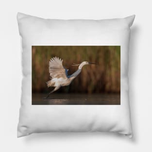White Heron Pillow