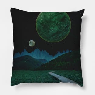 Lush Path Pillow