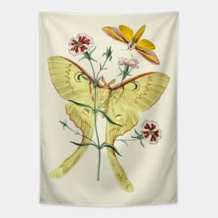 Indian Moon Moth Tapestry