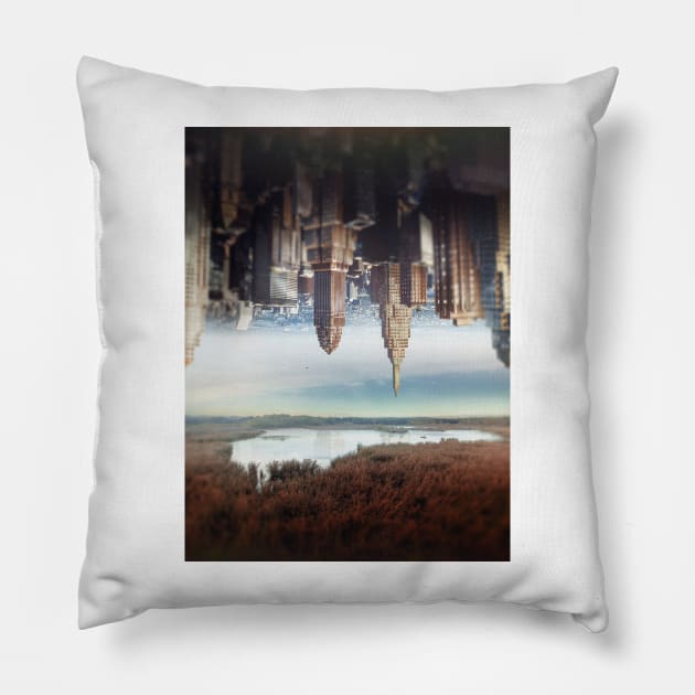 Separation of state Pillow by Richard George Davis