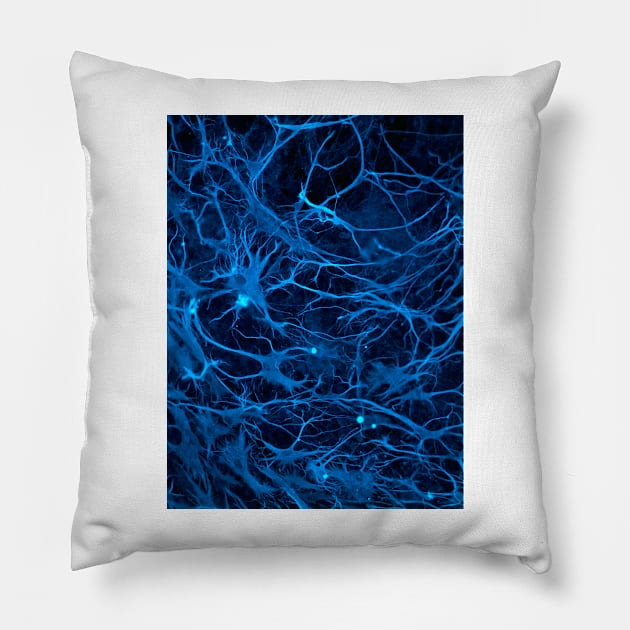 Stem cell-derived nerve cells (C014/8138) Pillow by SciencePhoto