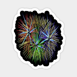 Light Up The Night Sky Colorful Fireworks Celebrations Magnet