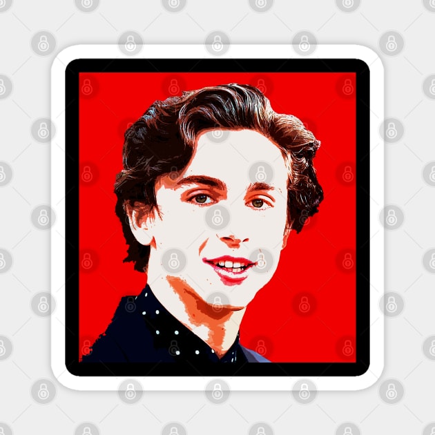 timothee chalamet Magnet by oryan80