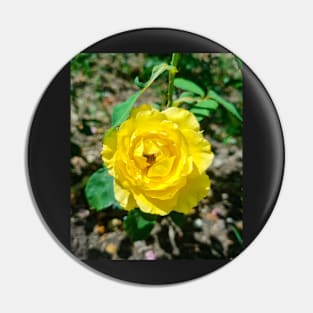 Beautiful Yellow Rose Pin