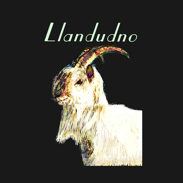 LLANDUDNO GREAT ORME GOAT MINT by MarniD9