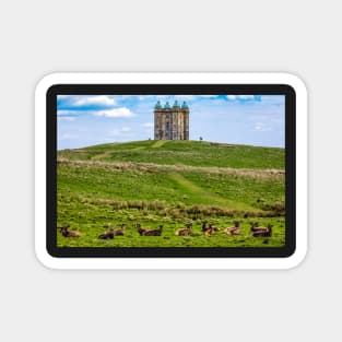 Deer in front of the hunting lodge at Lyme Park National trust in the UK Magnet