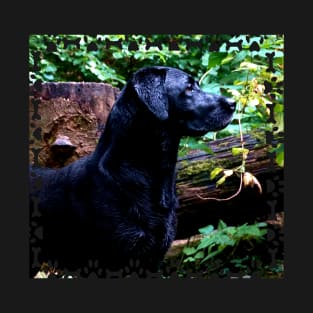 Black Labrador T-Shirt