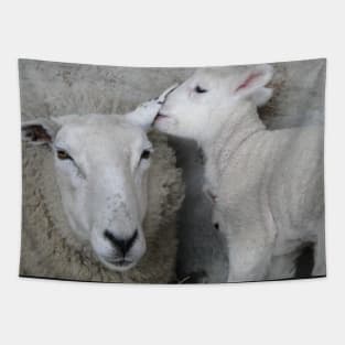 The Lamb Whisperer Tapestry