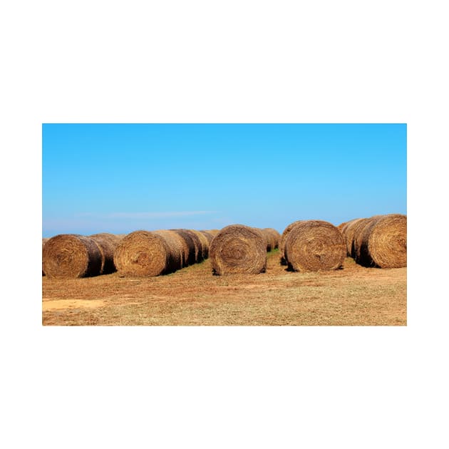 Round Bales Of Hay by Cynthia48