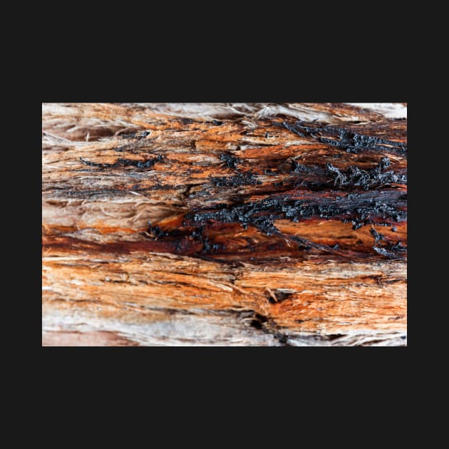 Vibrant Tree Oozing Sap From Trunk - Alternative III by textural
