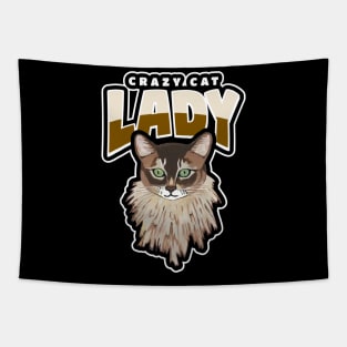 CRAZY Cat Lady Cat Lover Gifts Tapestry