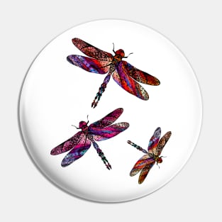 Ornate Dragon Fly Colorful Insect Illustration Pin