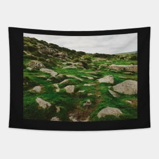 Dartmoor National Park - Many Rocks Embedded in Green Grass Tapestry