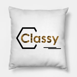 16 - Classy Pillow