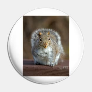 Stored Nuts - Grey Squirrel Pin