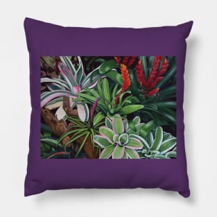 The Bromeliad Trap Pillow