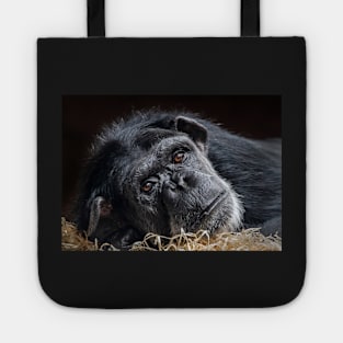 Portrait of a Chimpanzee Tote