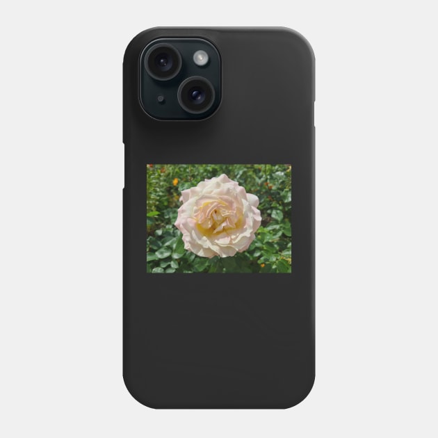 Pink Rose Phone Case by Photomisak72