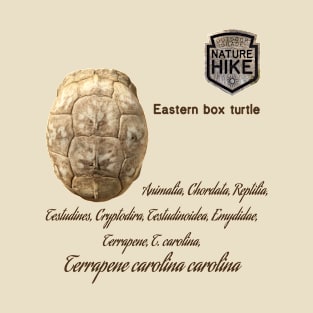 Eastern Box Turtle Shell Bone Taxonomy T-Shirt