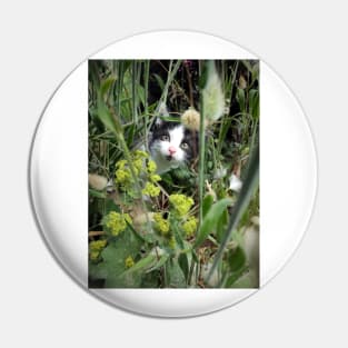 The tomcat Robby in the flowerbed Pin