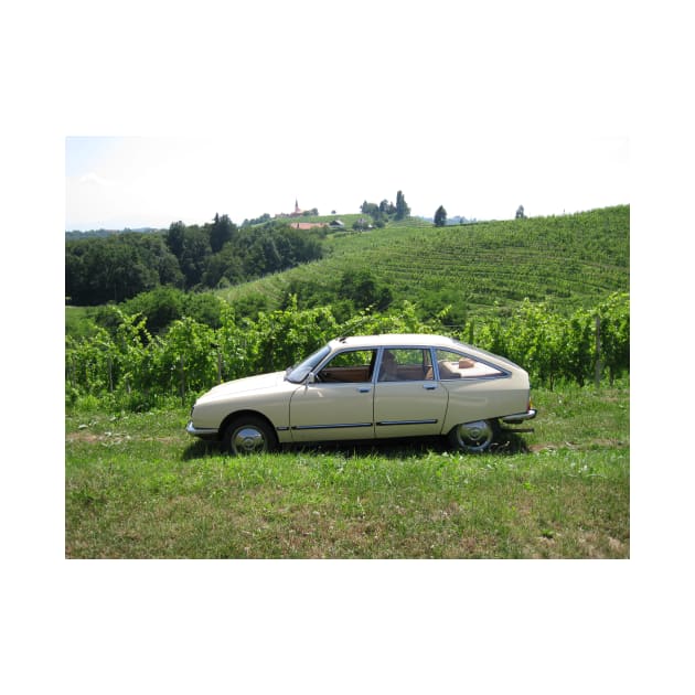 Citroen GS in Jeruzalem Slovenia by Roland69