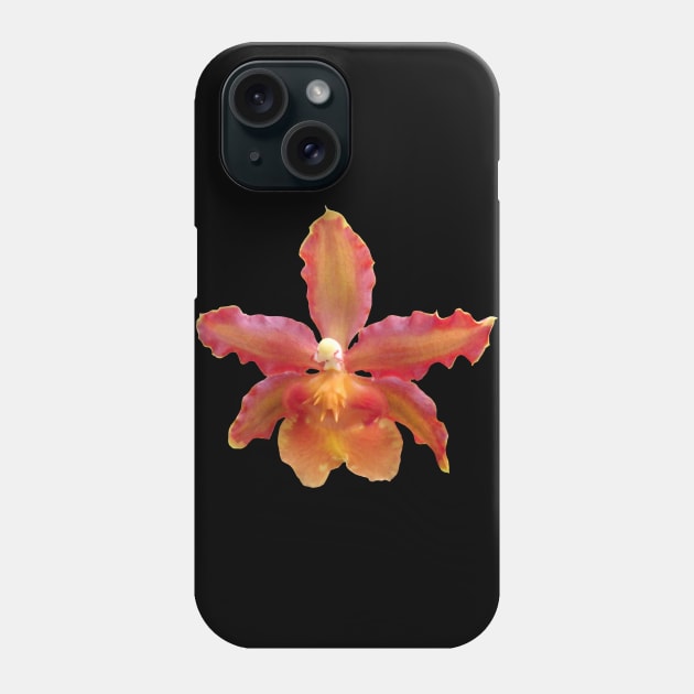 orchid floral blooming orchids flower Phone Case by rh_naturestyles