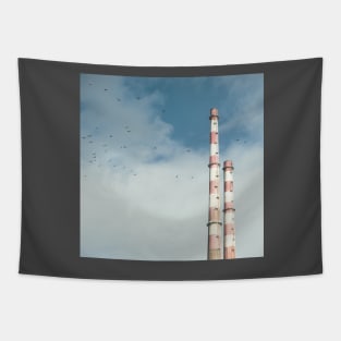 Pigeon House Tapestry