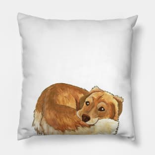 Golden Retriever Pillow